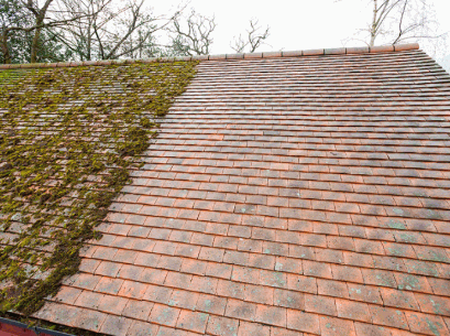 Clean Roof Moss