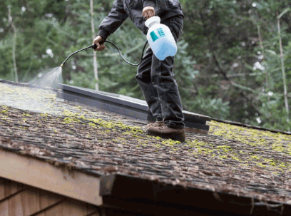 Moss Removal Chemical Solution