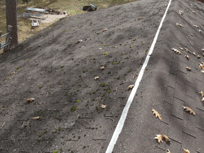 removing moss growth is by using zinc and copper strips